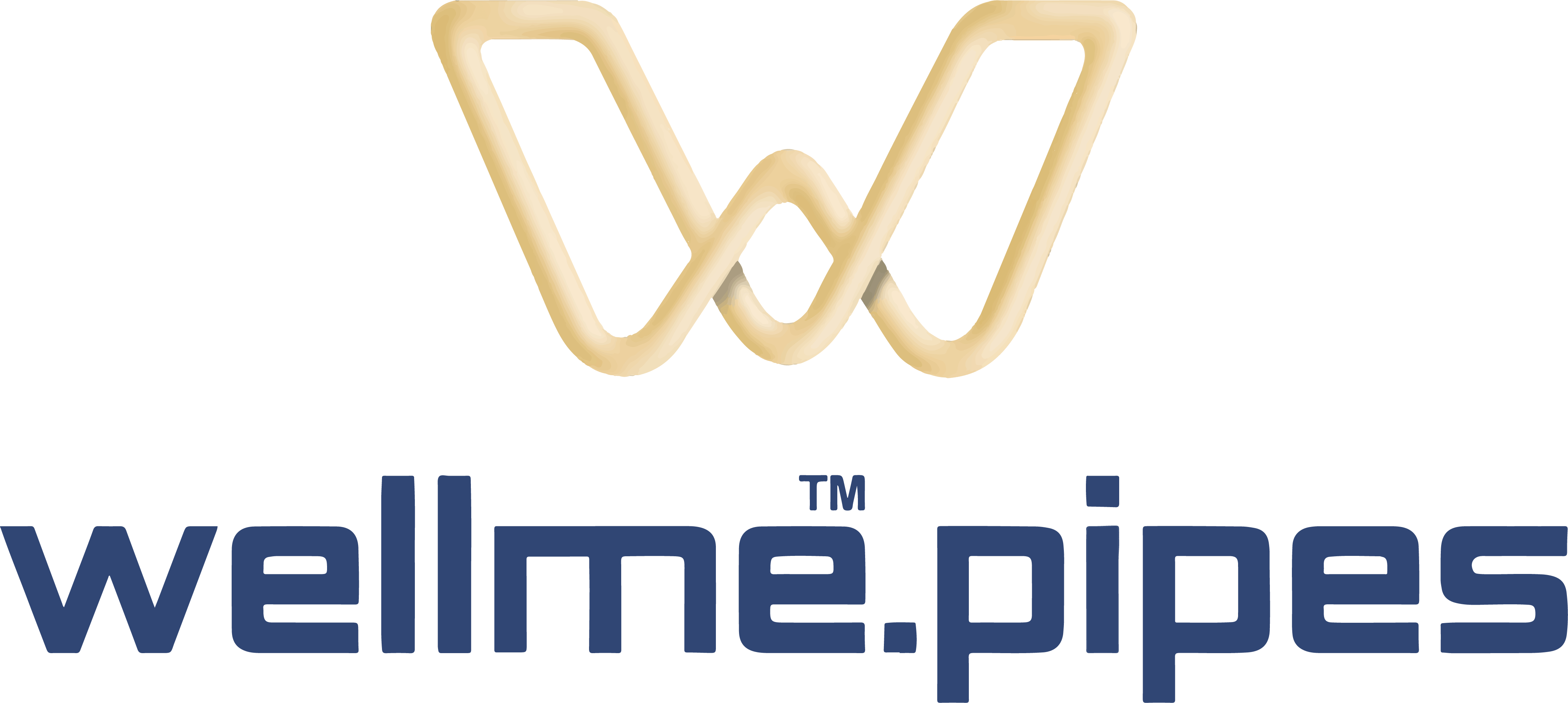 WELLME PIPES PRIVATE LIMITED