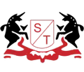 STI Apparel Automotion Private Limited