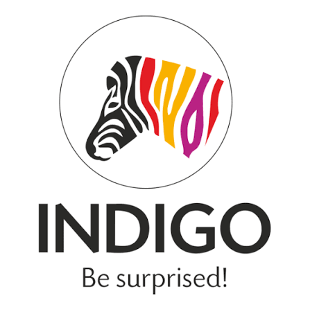 Indigo Paints Limited