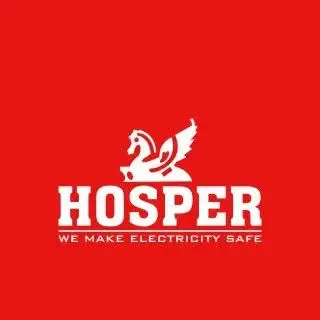 Bharat Electrical Industries