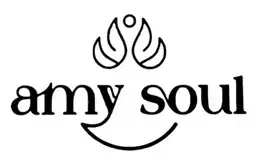 AMY SOUL PRIVATE LIMITED