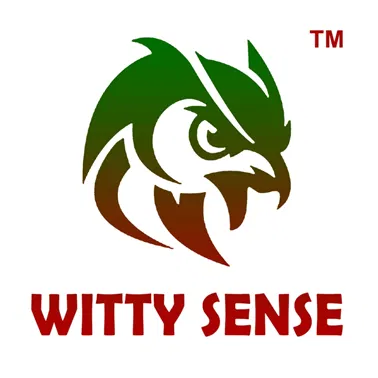 WITTYSENSE INNOVATIONS PRIVATE LIMITED