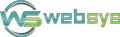 Websys Infotech