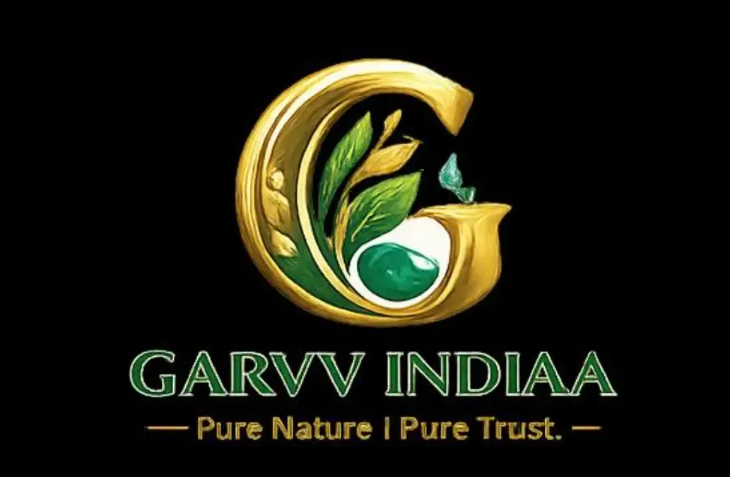 GARVV INDIAA (OPC) PRIVATE LIMITED