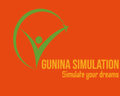 Gunina Simulation